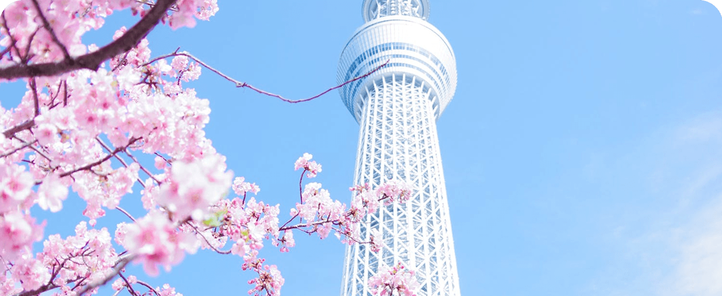 tower surrounded by pink flowers